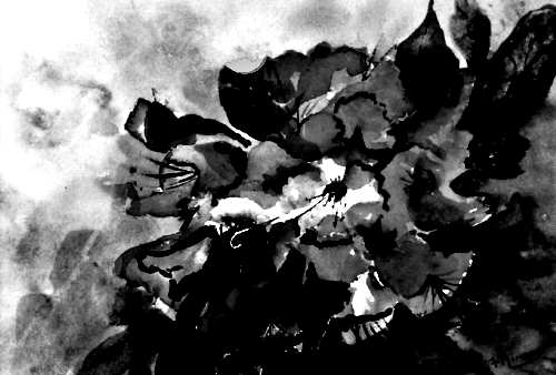 B&W AZALEA - Image 6