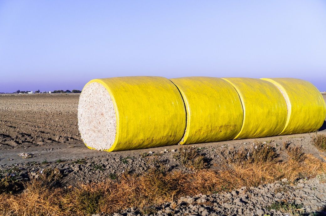 US Upland cotton sales dip sharply, but Pima up: USDA