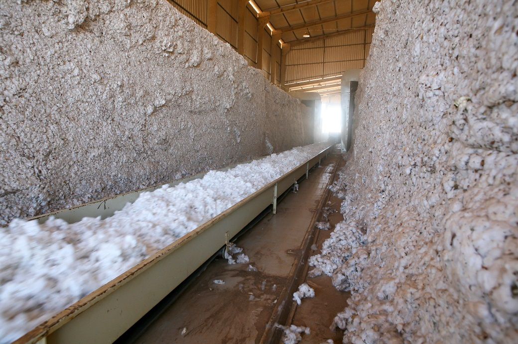 USDA cuts global cotton output, ending stocks in August WASDE
